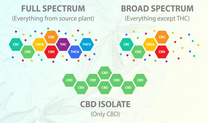 Full Spectrum vs Isolate; Which is Best for You?